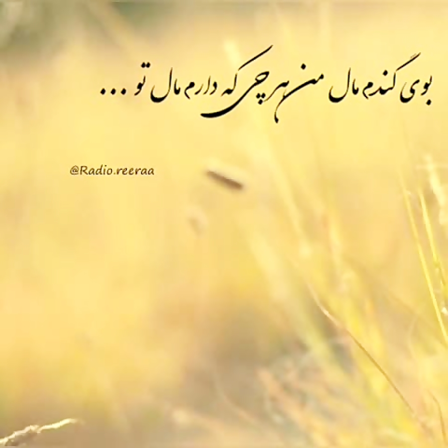 موزیک ویدئو آهنگ زیبای بوی گندم از داریوش