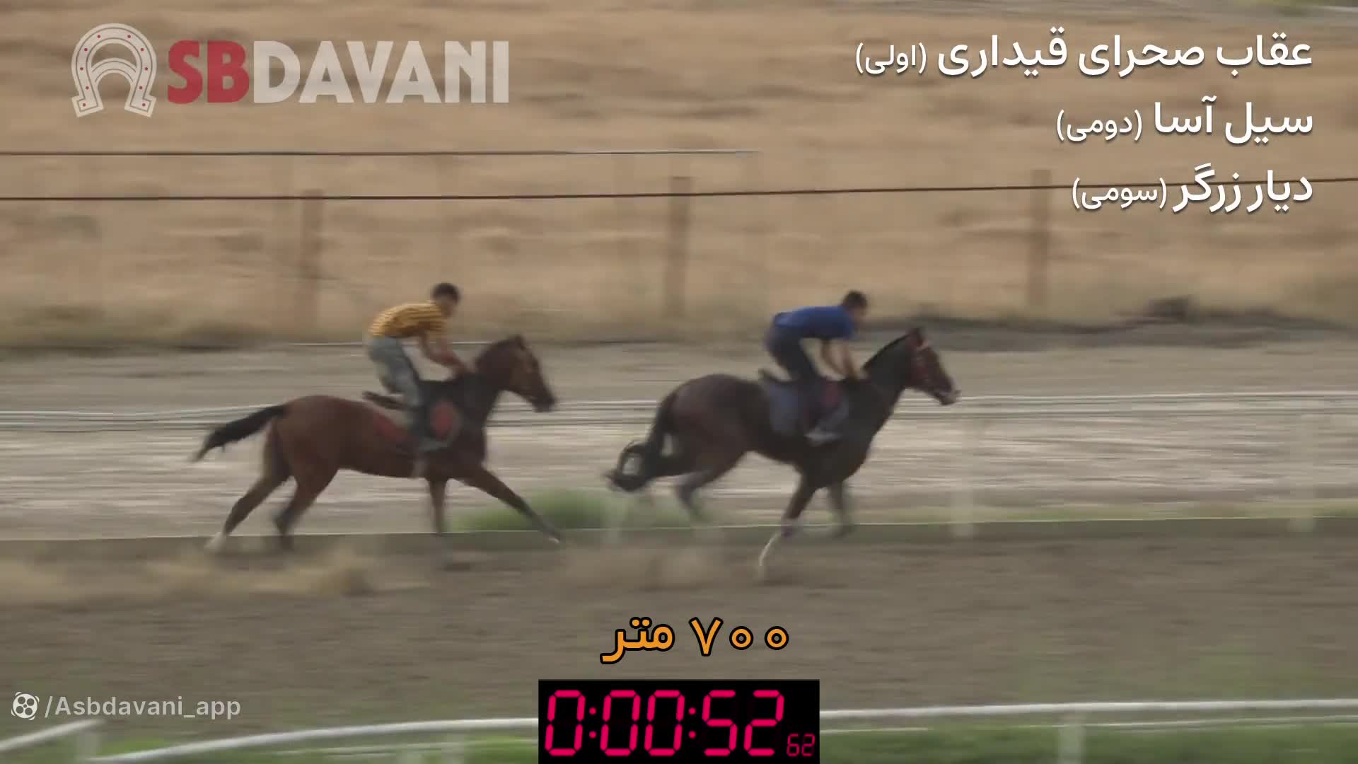 چهار نعل اسبهای عقاب صحرای قیداری:  دیار زرگر