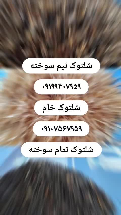 فروش شلتوک - قیمت شلتوک - خرید شلتوک