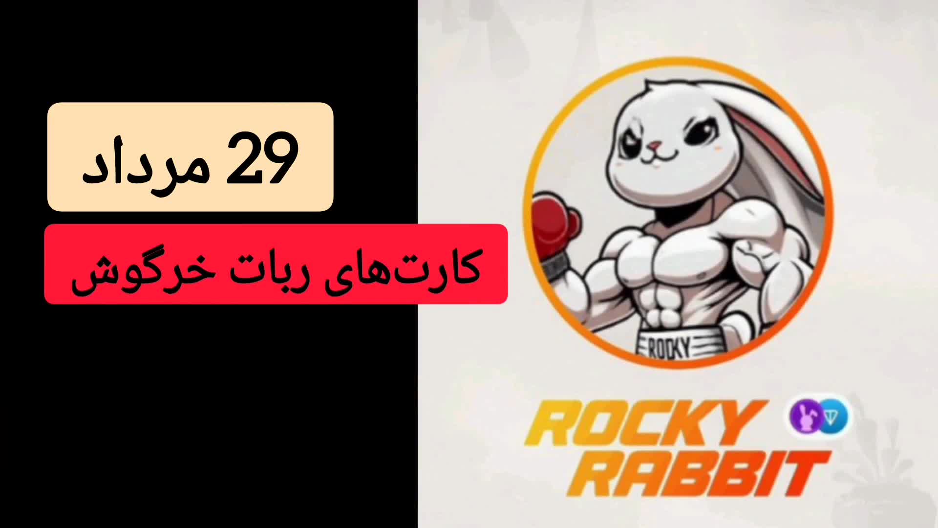 کارت های امروز راکی ربیت ۲۹ مرداد ۱۴۰۳