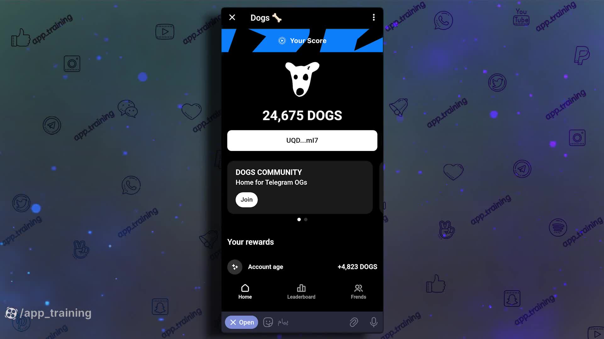 آموزش حل مشکل ربات داگز :معنی ارور who are you dawg