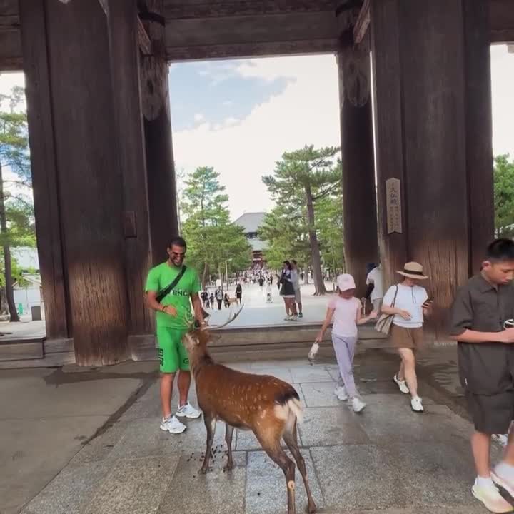   تفریحات خاص شهاب زاهدی در ژاپن؛ بازی با گوزن!