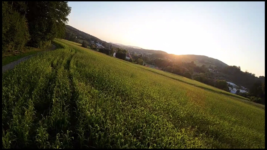 پرواز باوپهپاد پرسرعت داخل جنگل و روی مزرعه ذرت و در نهایت سقوط در مزرعه