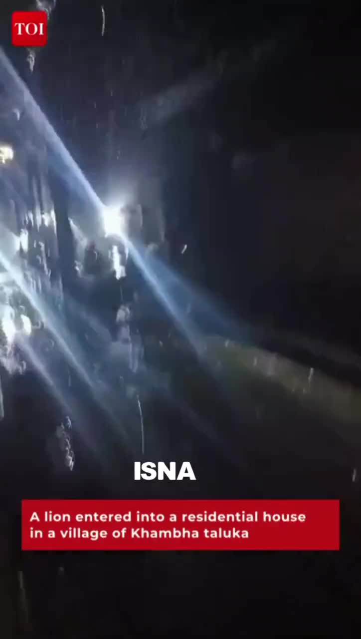   تصاویر شوکه‌کننده از حمله شیر به خانه مردم در روستا