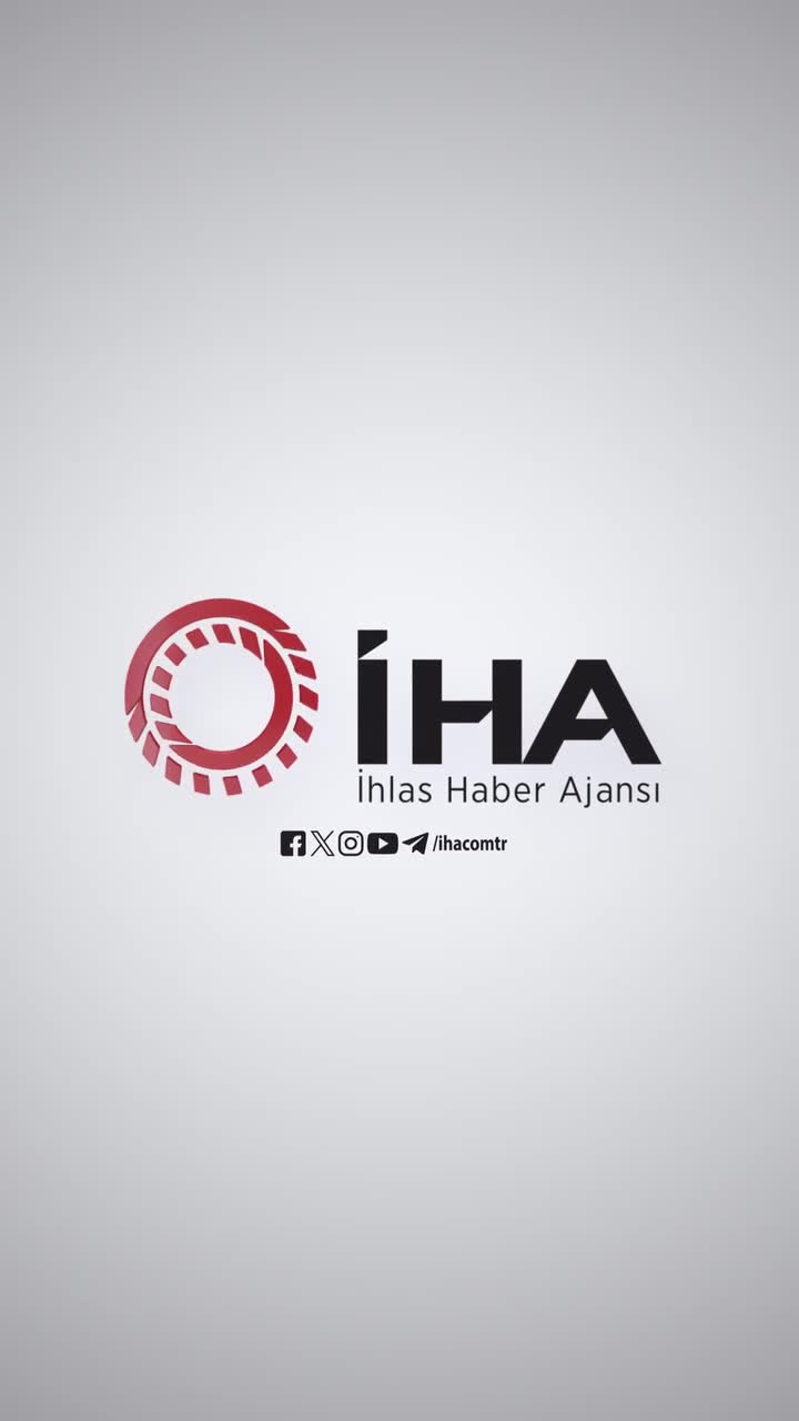 گربه بداخلاق در یک جواهرفروشی به شهرت جهانی رسید!