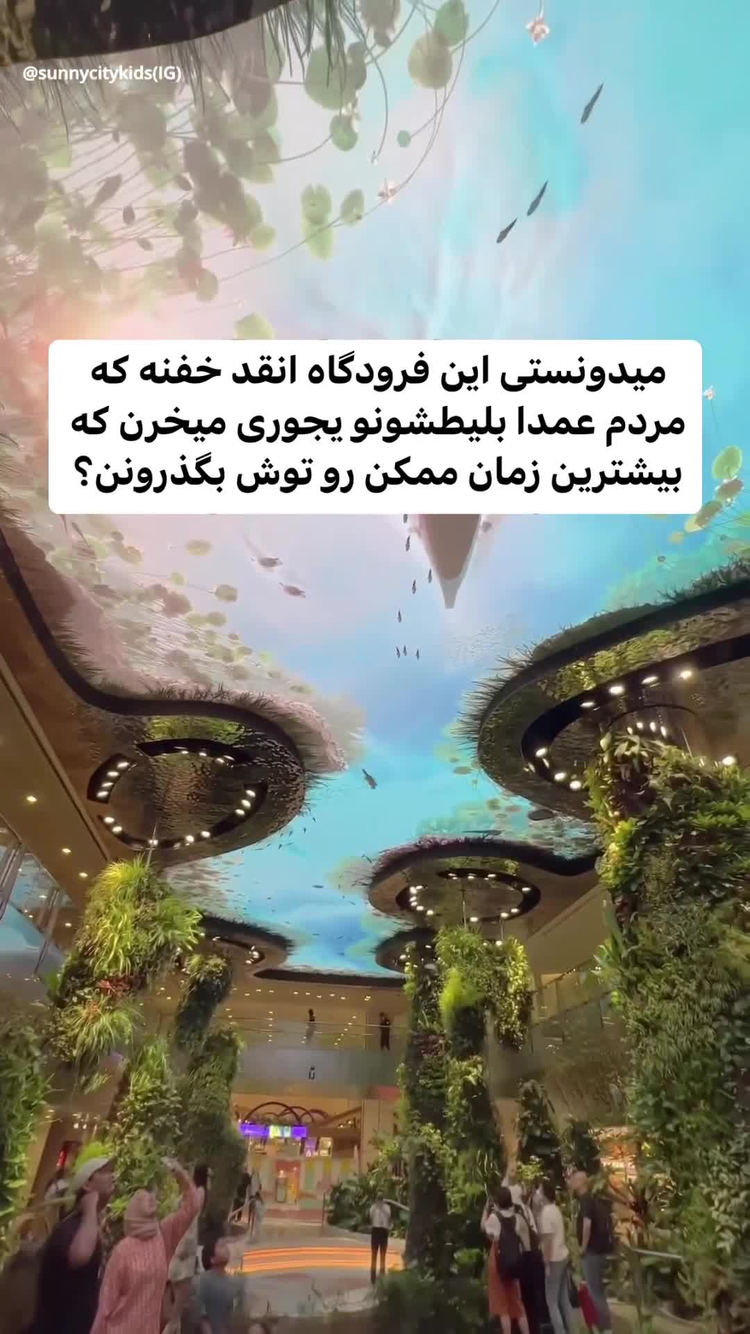 فرودگاه