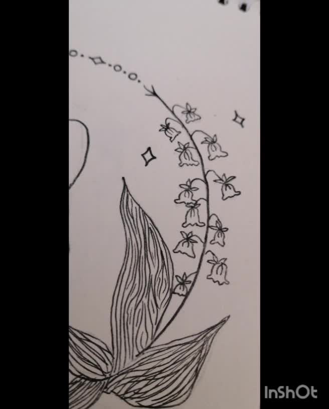 خرگوش در حلقه