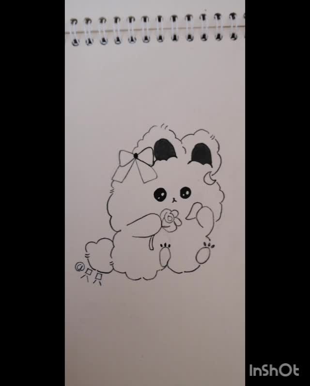 خرگوش بامزه