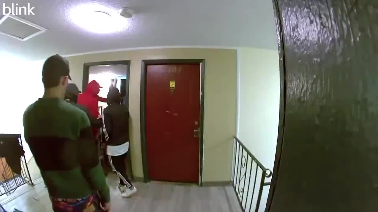   تصاویر ترسناک از یورش مهاجران مسلح اهل ونزوئلا و تصرف یک آپارتمانی در کلرادو!