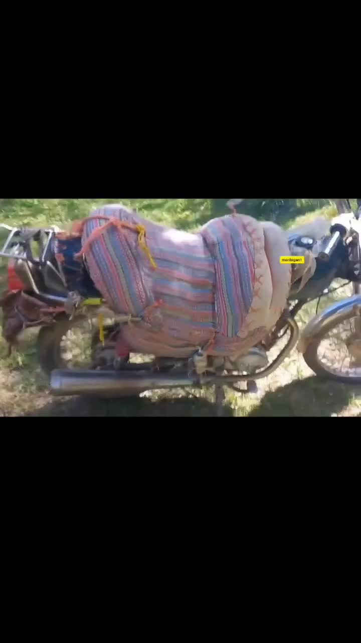   پیوند پالان الاغ به موتور هوندا؛ خلاقیت خنده‌دار یک کشاورز نمونه!