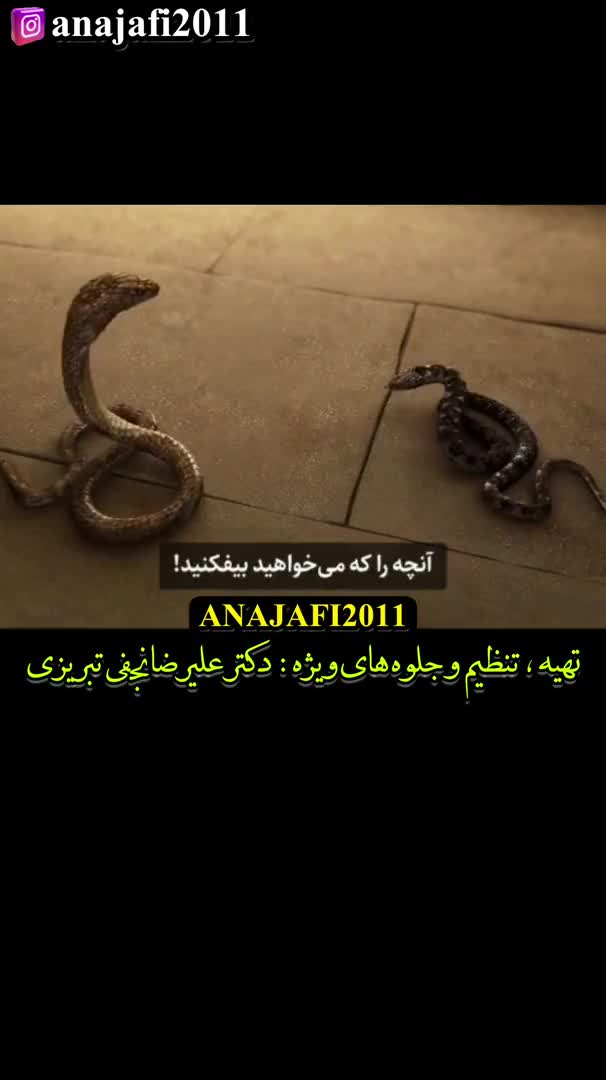 فیلم جنگ موسی پیامبر و فرعون زمانه