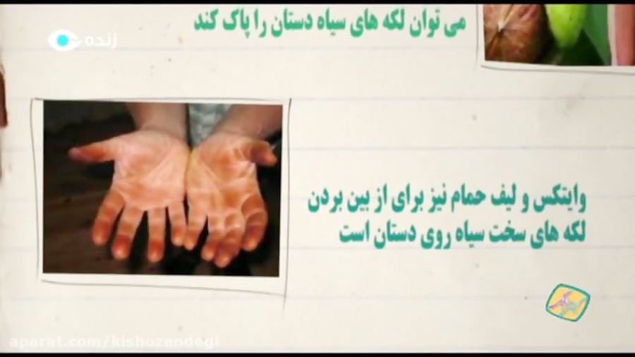 نكته های خانه داری : پوست گردو به روی دست ها