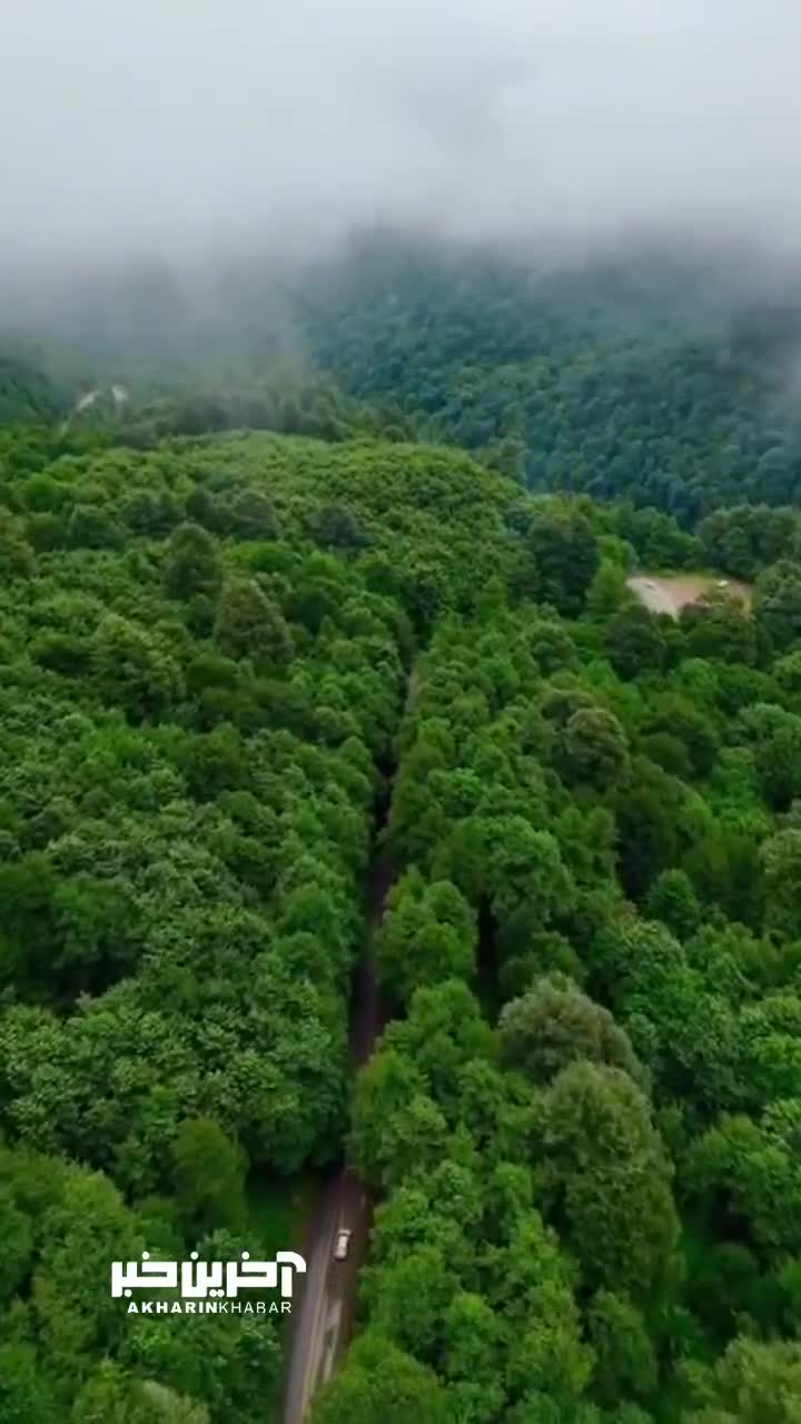   گوشه‌ای از بهشت روی زمین؛ نمایی از زیبایی جنگل‌های دیلمان در استان گیلان