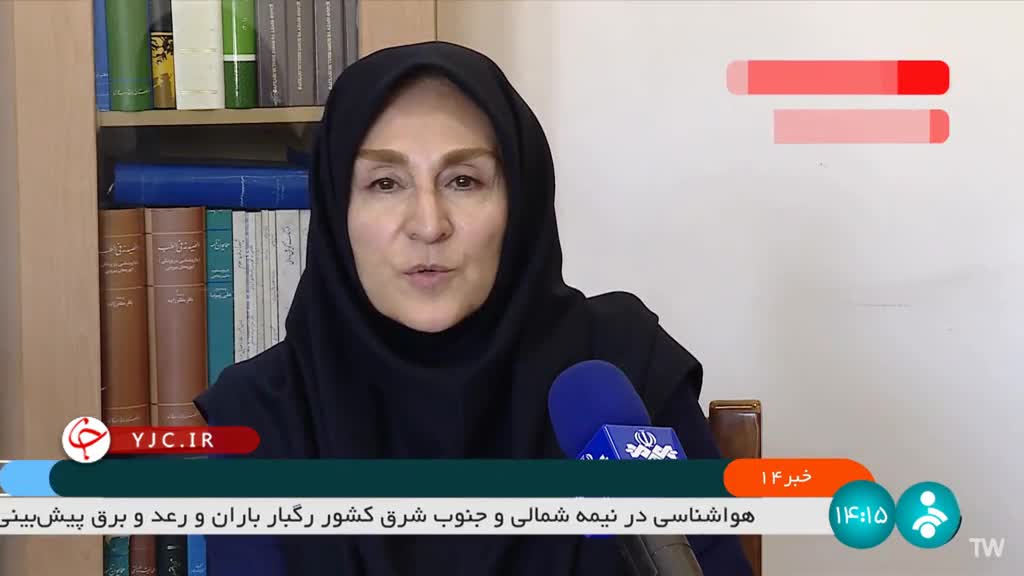   معادل فارسی چکاپ مشخص شد؛ معاون واژه‌گزینی فرهنگستان ادبیات فارسی توضیح داد