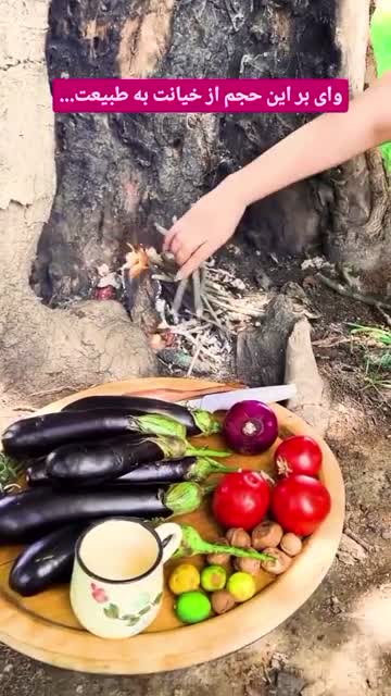   عصبانیت مردم از اقدم زشت بلاگر زن ایرانی در طبیعت حین آشپزی!