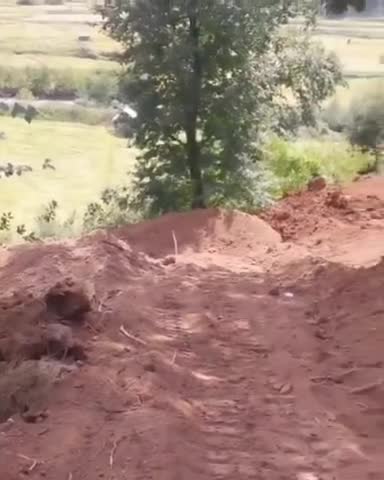   تخریب مجدد جنگل هیرکانی برای ساخت پارکینگ