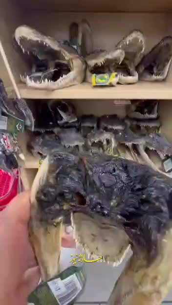   عجیب‌ترین سوغاتی دنیا!