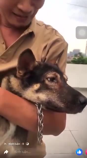   گریه احساسی یک سگ پس از ملاقات مجدد با صاحبش