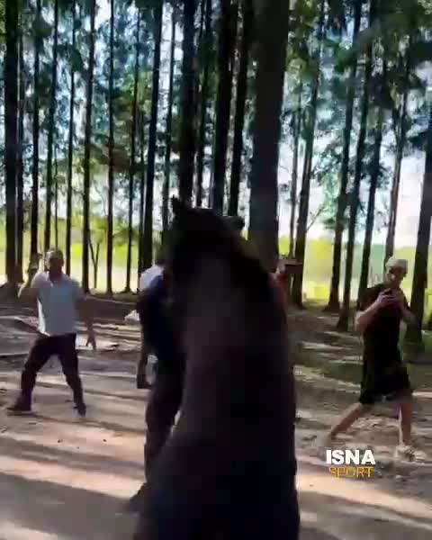   تصاویر عجیب از کشتی گرفتن بوکسور روس با خرس