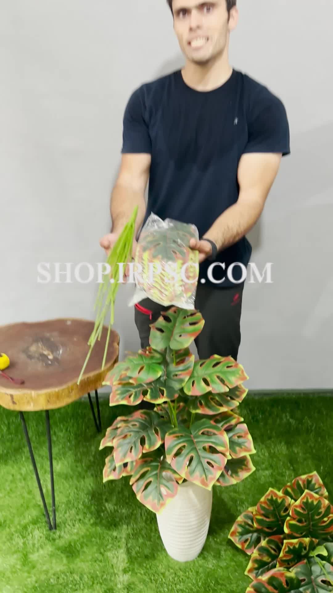 انواع بوته مصنوعی برگ انجیری ابلق پاییزی 18 برگ | فروشگاه ملی