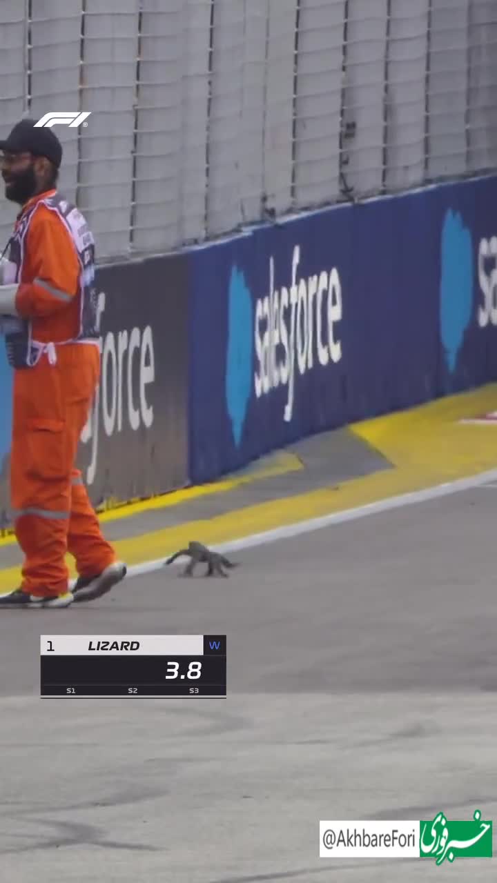   مارمولک ماجراجو در پیست مسابقات فرمول‌ یک