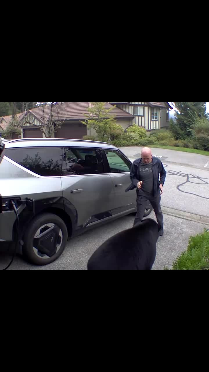   واکنش بی‌نظیر یک مرد در رویارویی ناگهانی با خرس مقابل گاراژ؛ کنترل بحران با هوشمندی!