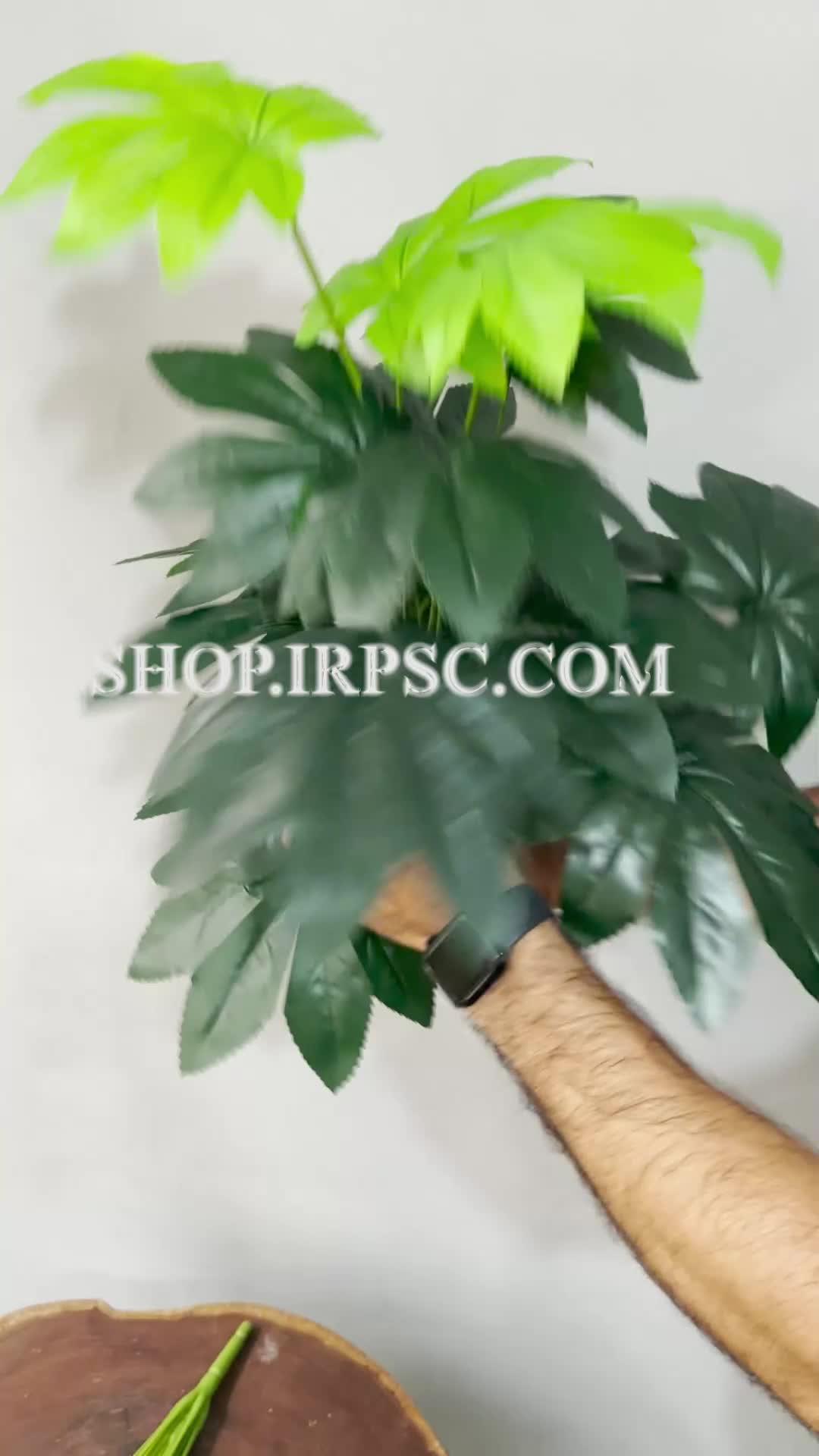 انواع بوته مصنوعی آرالیا سبز تیره و روشن 18 برگ | فروشگاه ملی