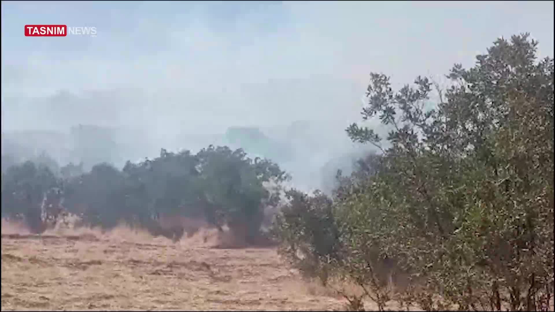   آتش گسترده در جنگل‌های دلفان