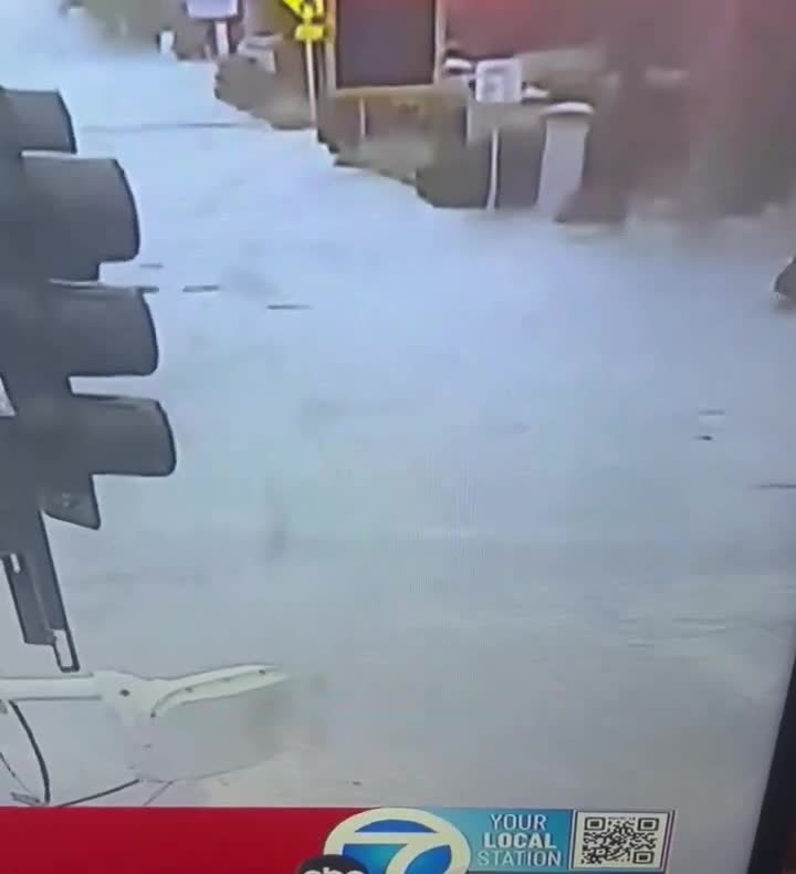   جولان تمساح‌ها در خیابان‌های فلوریدا بر اثر طوفان