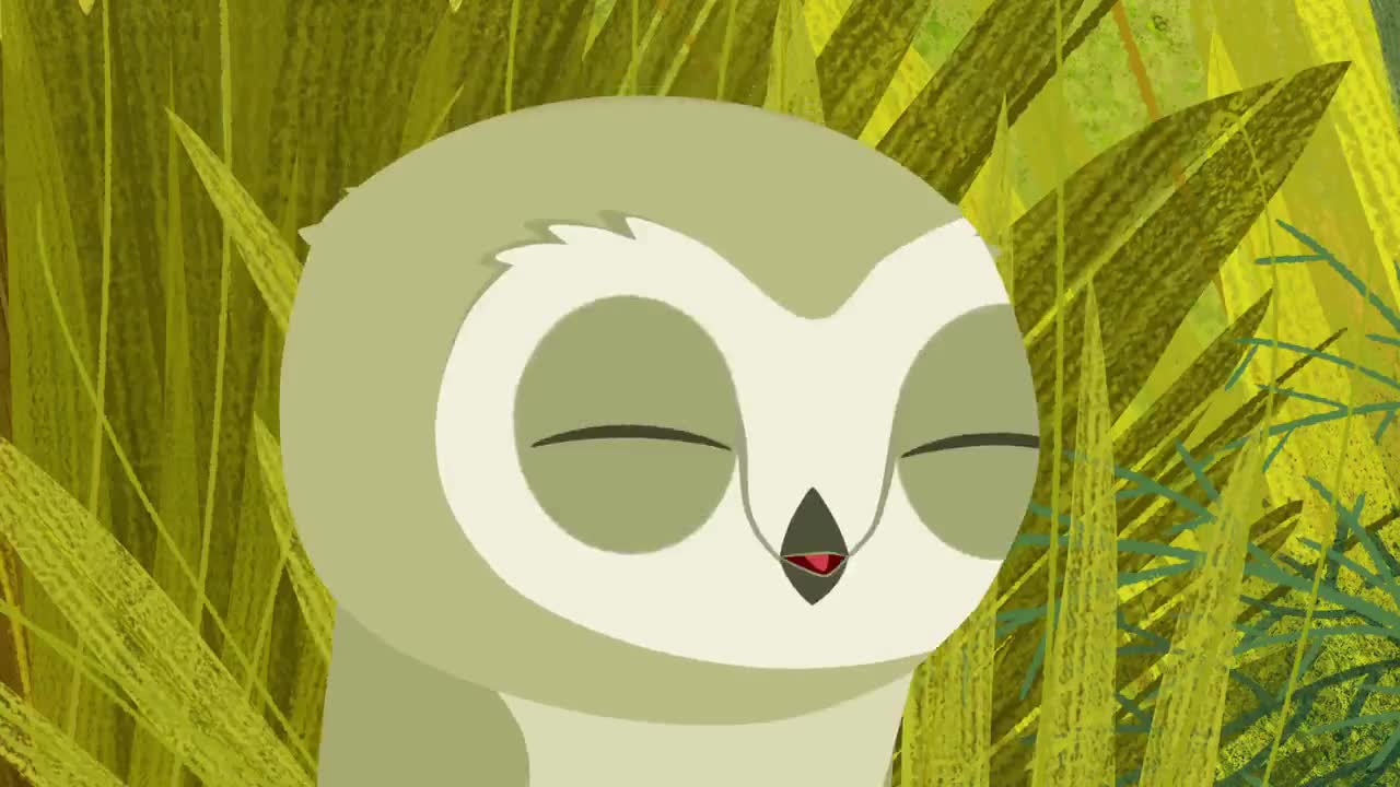 انیمیشن صخره پافین ها Puffin Rock - فصل 2 قسمت 4