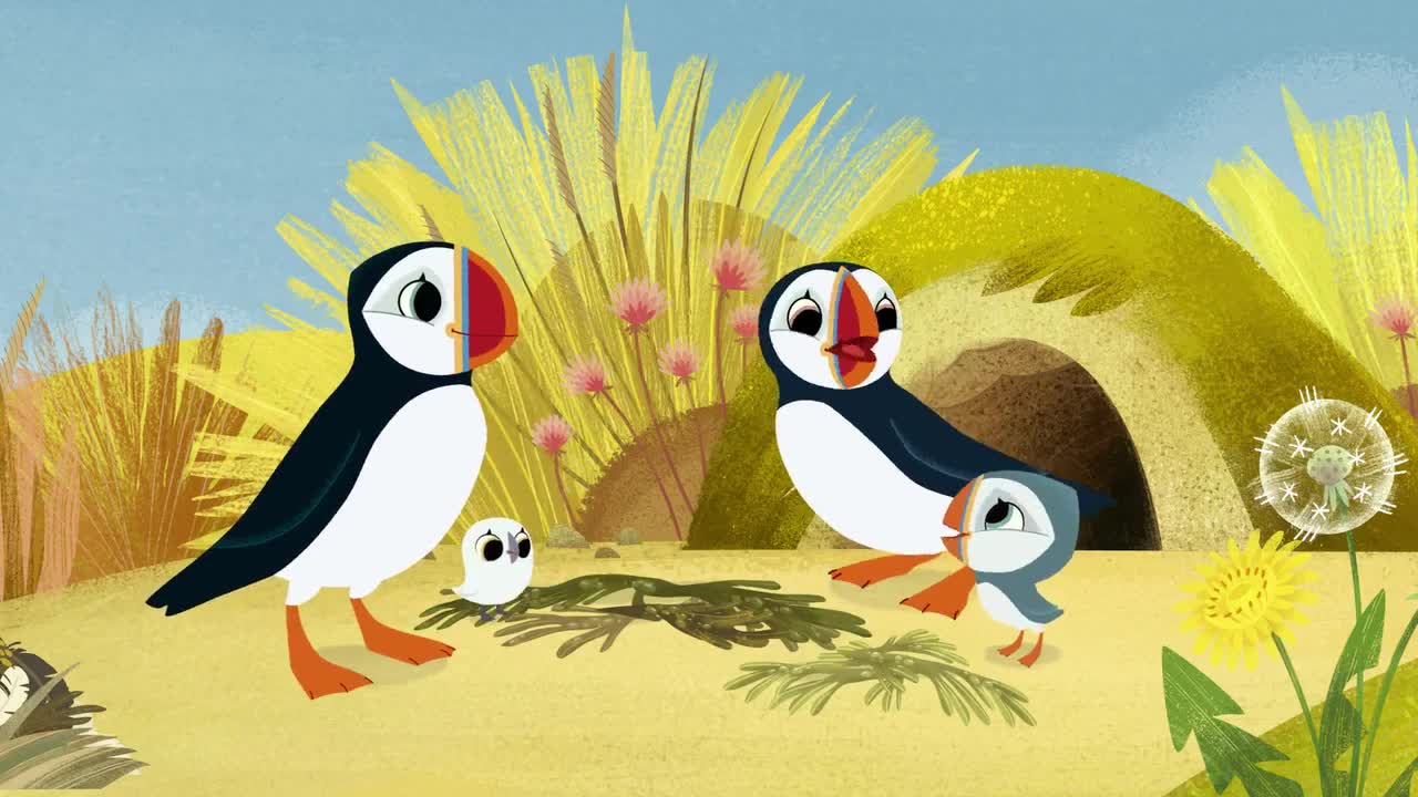 انیمیشن صخره پافین ها Puffin Rock - فصل 2 قسمت 8