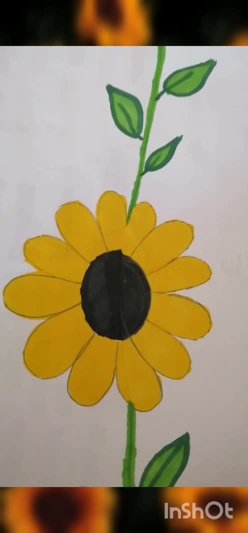 گل آفتابگردان