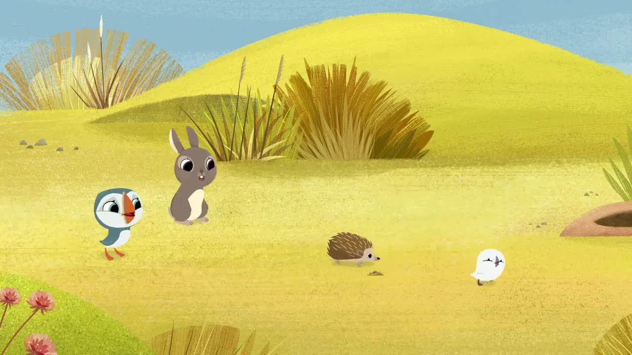 انیمیشن صخره پافین ها Puffin Rock - فصل 2 قسمت 3