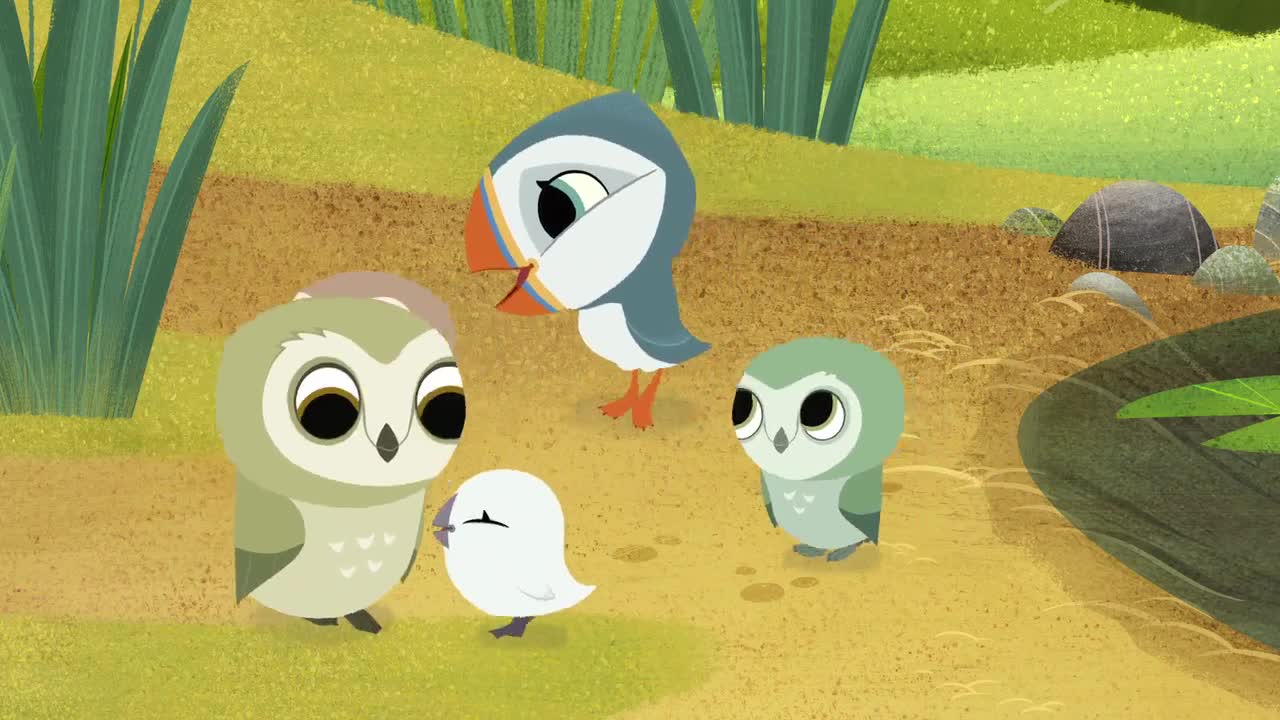 انیمیشن صخره پافین ها Puffin Rock - فصل 2 قسمت 9