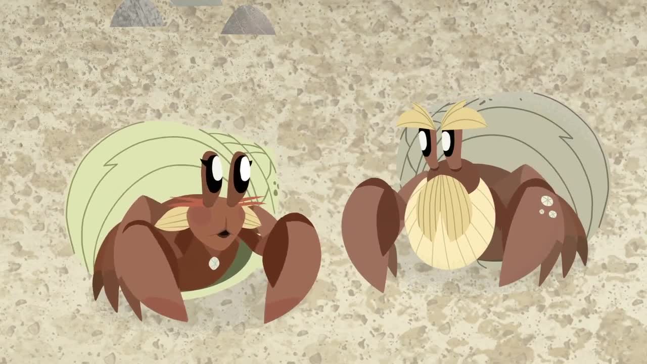 انیمیشن صخره پافین ها Puffin Rock - فصل 2 قسمت 13