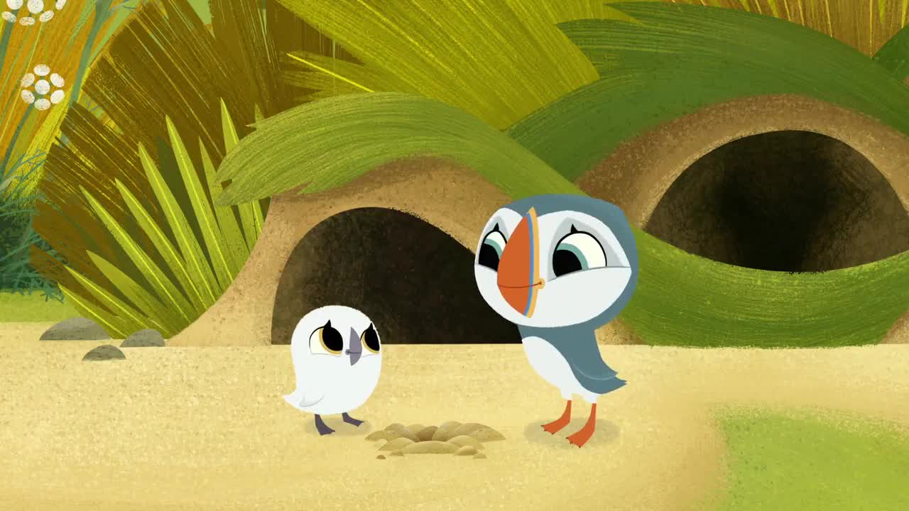 انیمیشن صخره پافین ها Puffin Rock - فصل 2 قسمت 5
