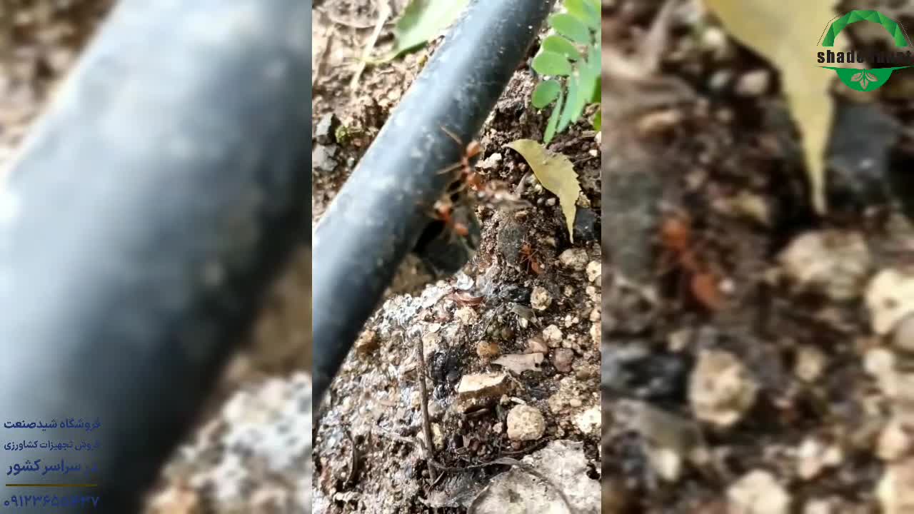 قطره چکان ۸ لیتر در ساعت - شید صنعت