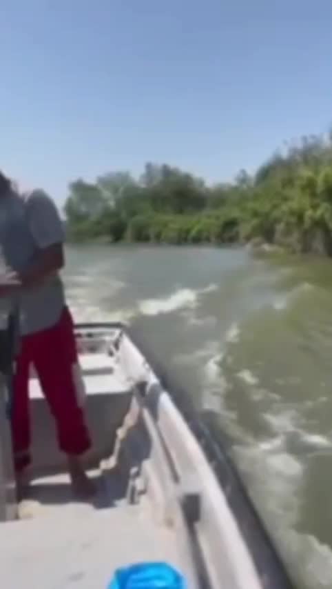   تولد نوزاد عجول در قایق امدادی هلال‌احمر