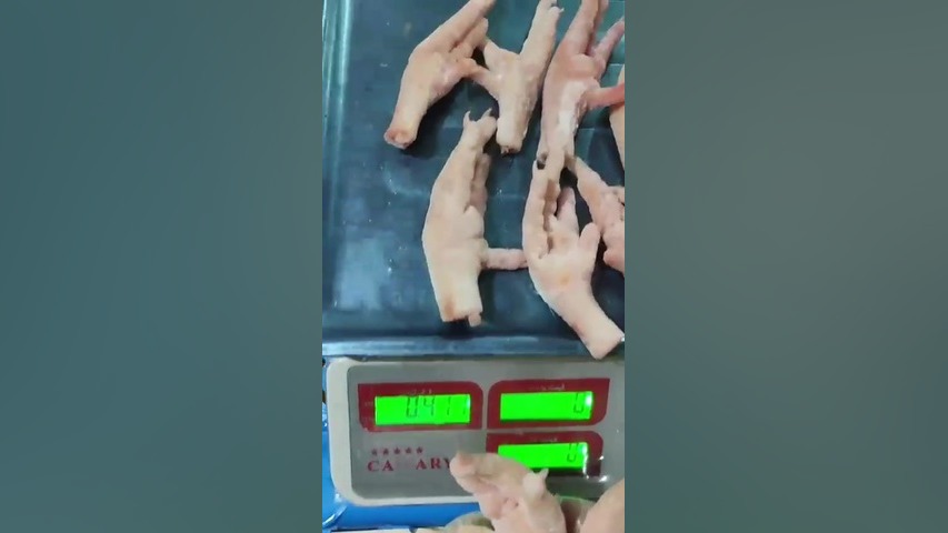 قیمت فروش پای مرغ صادراتی 09120681678 شرکت های صادراتی پای مرغ