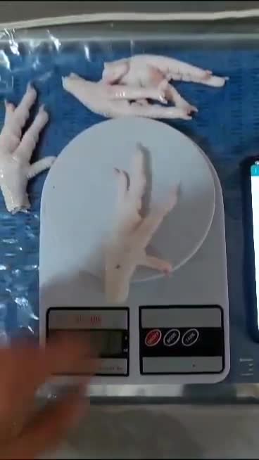 مجوز صادرات پای مرغ 09120681678 شرایط صادرات پای مرغ به چین