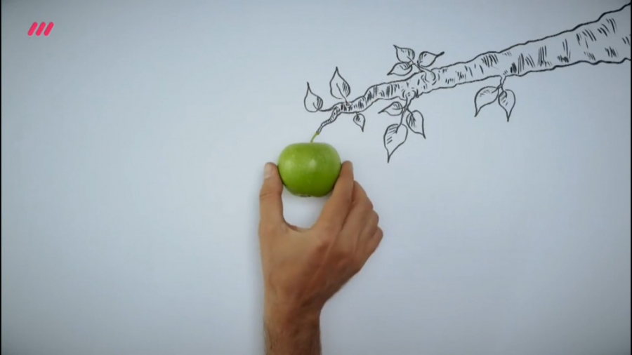 احکام میوه از باغ بیرون زده و خوردن آن چیست؟!