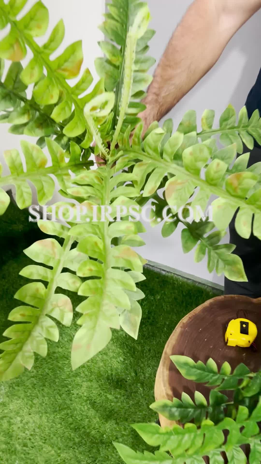 انواع بوته مصنوعی سرخس در سه رنگبندی | فروشگاه ملی