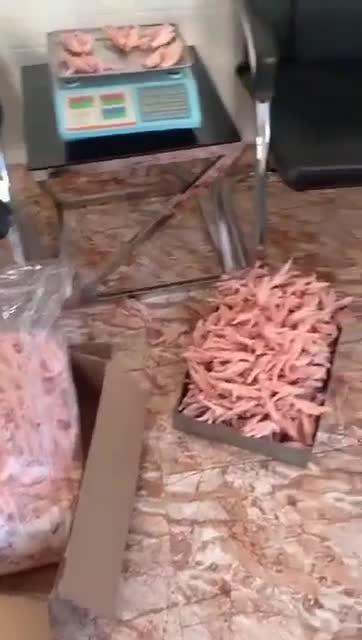 صادرات پای مرغ به بلاروس ، امارات 09120681678 عراق دبی