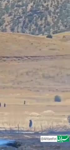   اولین تصاویر از آتش‌سوزی منطقه سرتنگ زنگوان شهرستان سیروان استان ایلام