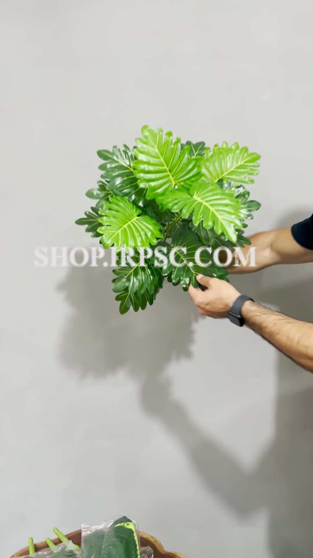 انواع بوته مصنوعی آرالیا سبز 18 برگ | فروشگاه ملی