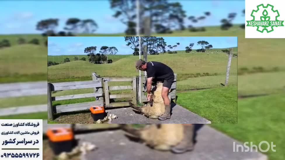 فروش انواع پشم چین - کشاورز صنعت