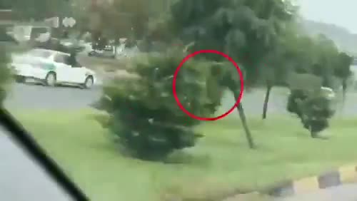   تعقیب و گریز ترسناک پلیس با سارق یک خودرو خلاف جهت خیابان در گرگان!