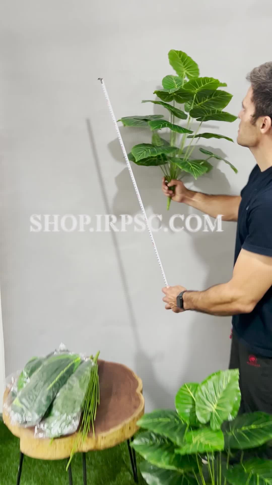 انواع بوته مصنوعی آلوکازیا سبز 18 برگ | فروشگاه ملی