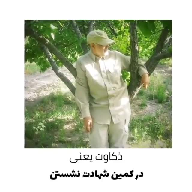زرنگی یعنی ../شهید سلیمانی