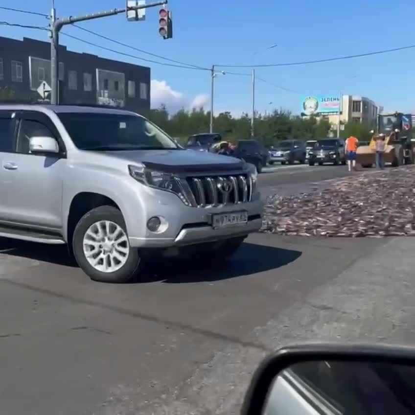   سرازیر شدن بار ماهی در خیابان!